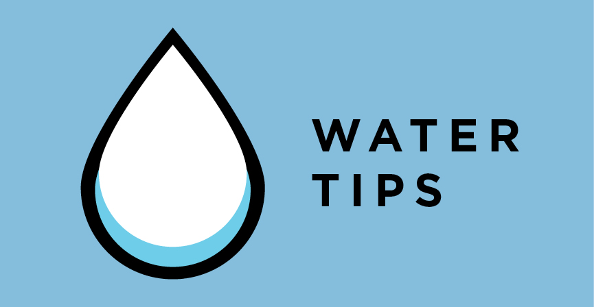 Water Saving Tips