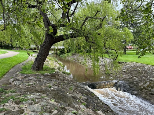 ANZAC Park - Rocky Ponds Creek